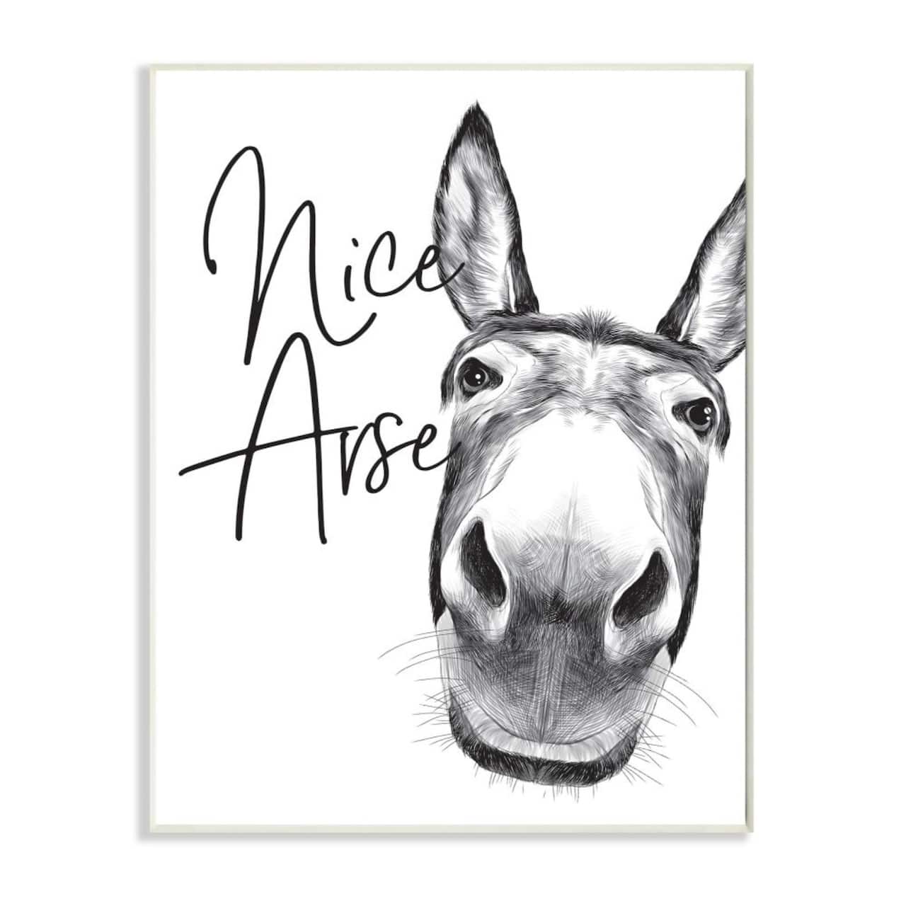 Stupell Industries Nice Arse Donkey Bathroom Wall Plaque